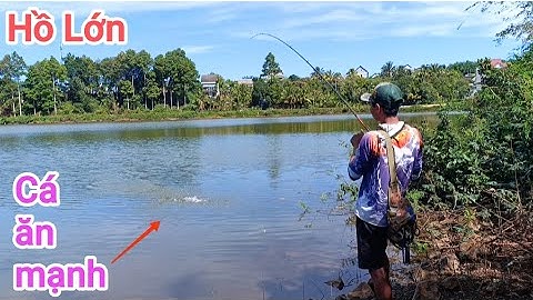 Câu cá lóc_Hồ lớn lên hàng mỏi tay @Hữunghị tv