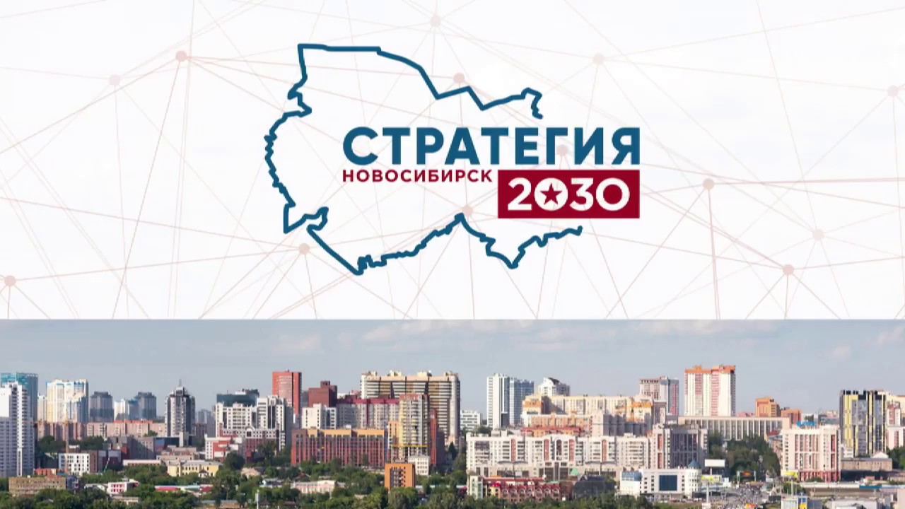 Стратегия 2030 предполагает