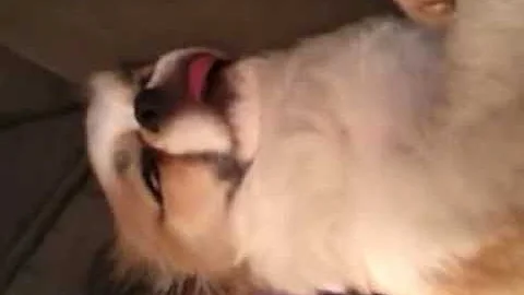 Dexter Cornelius sawing logs
