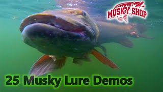 Hot Musky Fishing Lure Demos! Hot Musky Fishing Lure Demos!