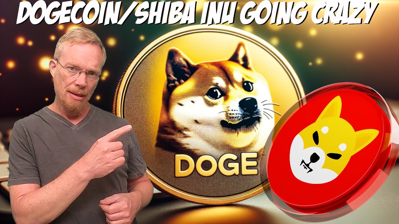 Dogecoin, Shiba Inu, Bonk, Pepe, WIF All Going Crazy!
