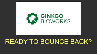 Can Ginko Bioworks stock recover? A $DNA chart analysis