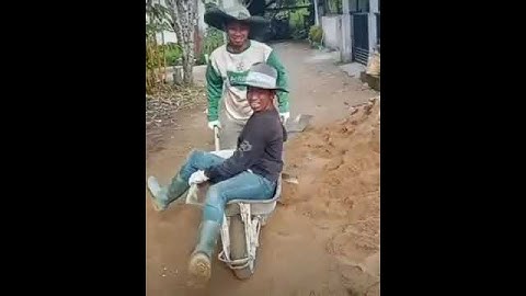 Video Lucu Bikin Ngakak Terpingkal Pingkal#shorts#shorts video