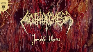 NOTHINGNESS 'Inviolate Viscera' (Track Premiere)