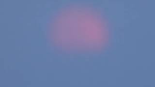 The Super Pink Moon/ Luna Rosa