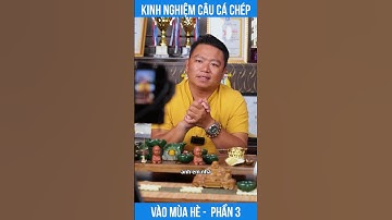 KINH NGHIỆM CÂU CÁ CHÉP HỒ DỊCH VỤ MÙA HÈ - PHẦN 3