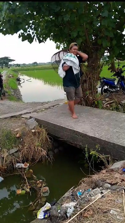 yono dadak seng gk melok kok becik #nyusukmania #mancing #ikan #fishing