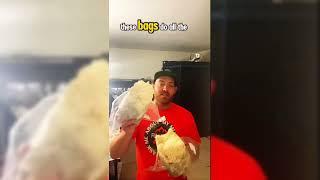 Lion’s Mane on Grain-Free & 3-Layer All-in-One Super Bags – Ultimate Grow Test!