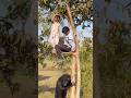 security गार्ड VS भालू ❗️जय श्री राम ❗️ #comedyforever #securityguard #comedymoments