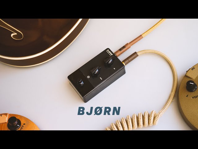 BJØRN - Fuzz For The People - YouTube