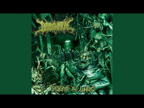 Instigate the Lunatics