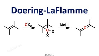 Doering-Laflamme Allene Synthesis