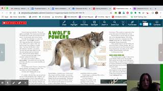Saving America's Wolves   Read Aloud