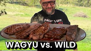 WAGYU vs. WILD - Was schmeckt gegrillt besser? --- Klaus grillt