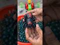 spider man car 🚗 😯 #ytshorts #vira #short