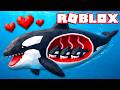 FAI CRESCERE UN PESCE SU ROBLOX!!