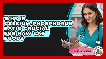 Why Is Calcium-Phosphorus Ratio Crucial For Raw Cat Food? - Happy Cat Handbook