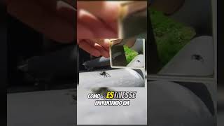 Como As Aranhas Reagem Ao Se Verem No Espelho? Reflexo Ou Ameaça?
