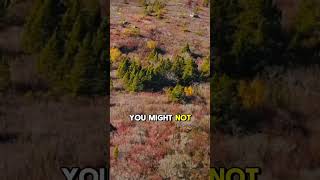 The biggest mistake...