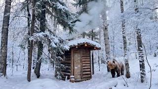 A Bear attacked me — I’m building 2 Shelters in the Forest, 2 years of living in the Wild