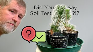 Bonsaify | Soil Test Results for Young Japanese Black Pine