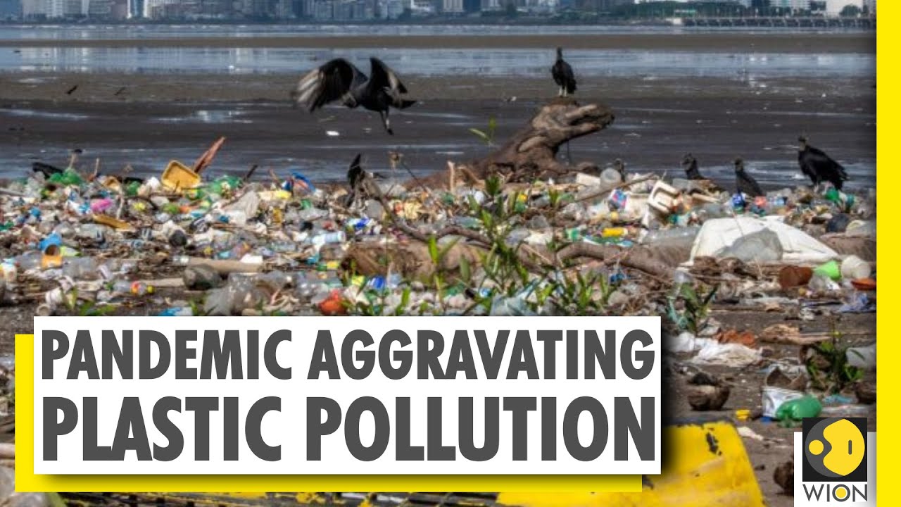 Study: Plastic waste in oceans to triple by 2040 | World News