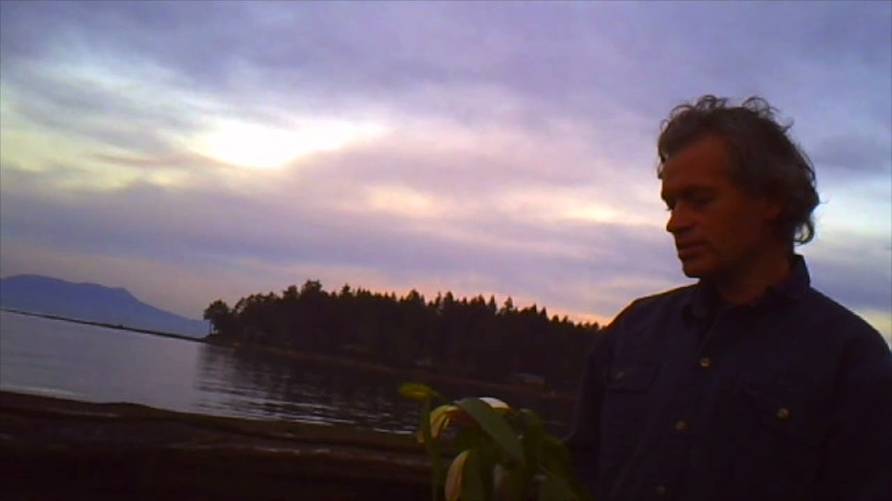 Nicholas Krgovich - Plants (by Veda Hille)