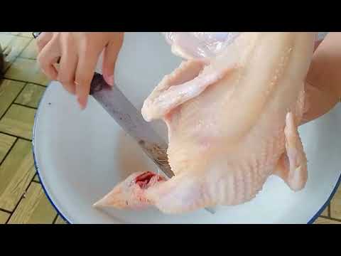 POULTRY PRODUCTION(slaughtering  Chicken/ Presenting the Digestive system)