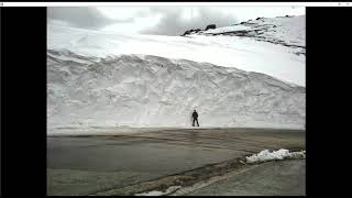 Pixelus-7 Deadly Synths