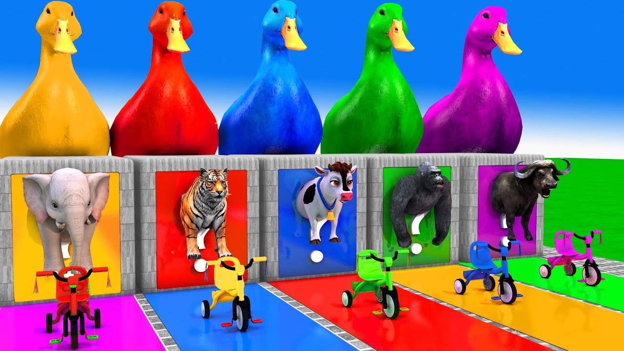 Long Slide Game With Cow Elephant Gorilla Hippopotamus Tiger 3d Animal Game Funny 3d Animals