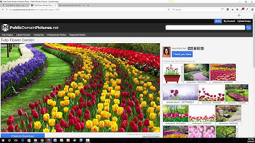 Colorzilla Demonstration