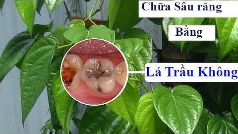 Cách chữa sâu răng bằng lá chanh