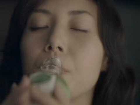 松嶋菜々子　生茶(0610) 熱い濃い篇