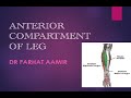 Muscles of Anterior compartment of Leg.