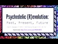 Psychedelic (R)evolution  with Brad Burges of MAPS