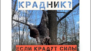 КРАДНИК. Крадут силы и энергию? что делать? Гадание