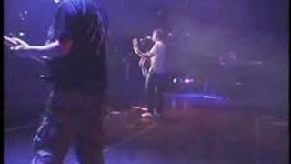 CAFE TACUBA - ERES (EN VIVO) chords