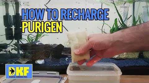 How to recharge Purigen.