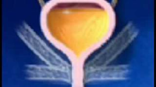 normal bladder Content