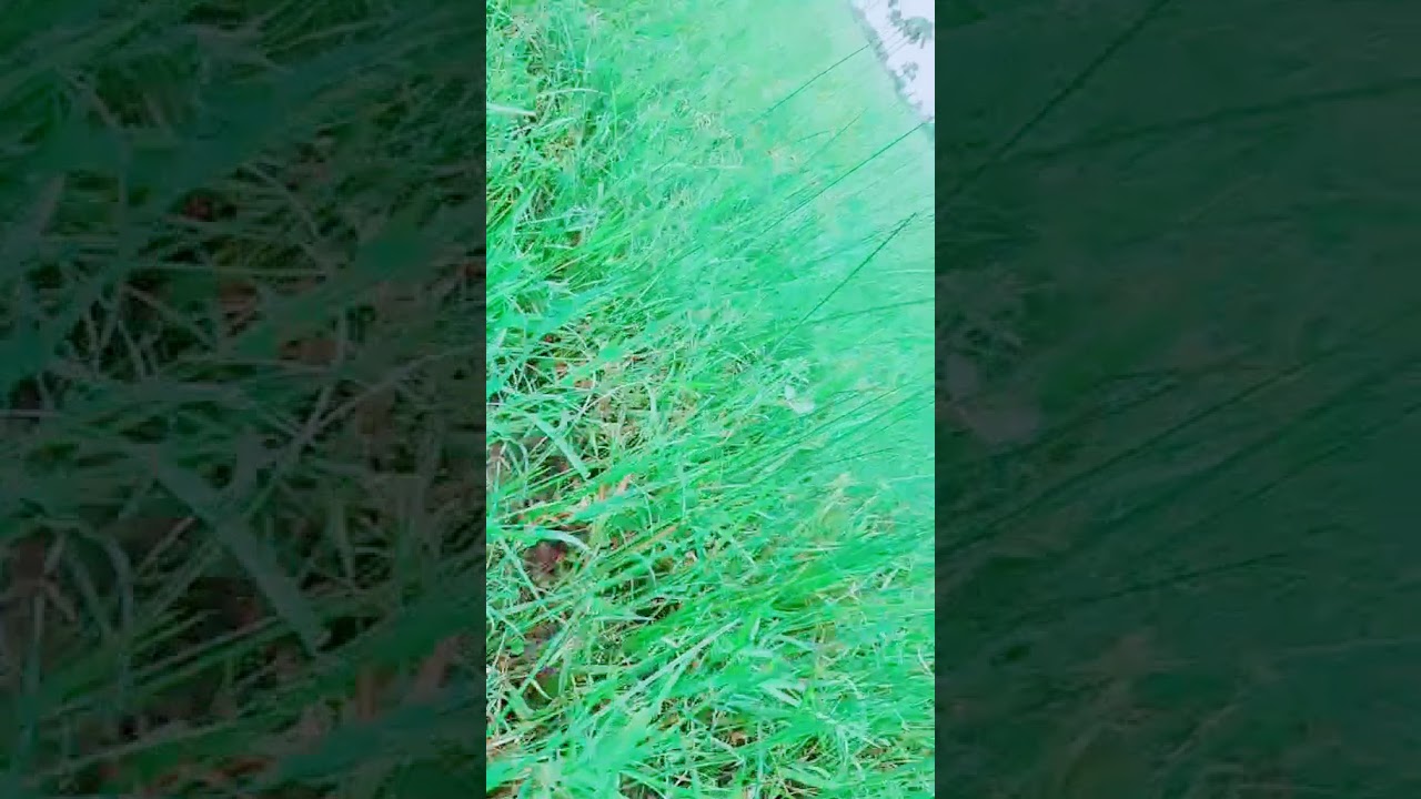 KGF YouTube