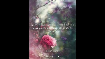 تلاوة من سورة الرعد للقارئ سعد البريك