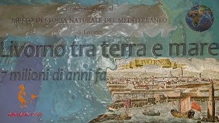 Livorno com'era 7 milioni di anni fa