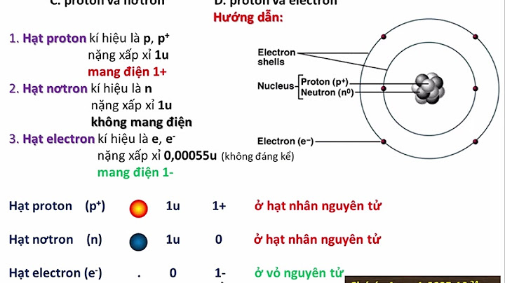 Hạt mang điện trong nhân nguyên tử là gì năm 2024