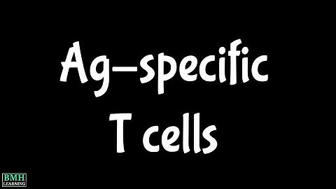 Antigen-Specific T Cells