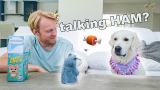 My Dog Reacts to Talking Hamster