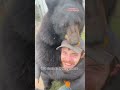 The friendliest animals I work with! #animals #animalsofyoutube #coolanimals
