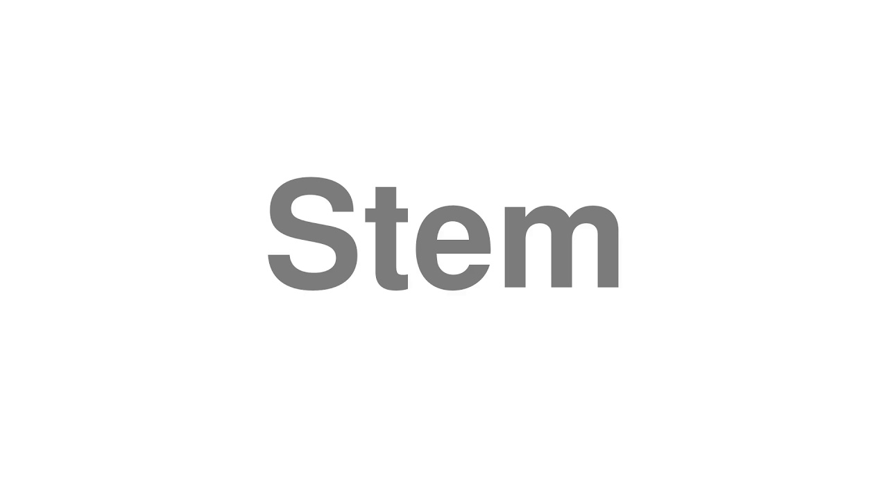 How to Pronounce "Stem"