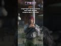 Заходи на сервер GROZA DAYZ:https://taplink.cc/grozadayz #dayz #dayzclips #dayzstandalone #shorts