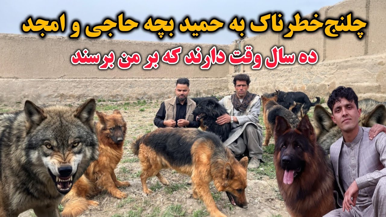 خطرناک ترین‌ چلنج‌ استاد‌فرید شوقی حمید بچه حاجی‌‌ و شوقی‌ های ۳۴ ولایت را ‌10سال وقت داد