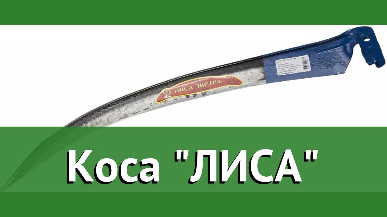 Лиса обзор машин